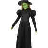 Böse Hexe Des Westens Kostüm Für Mädchen - Der Zauberer Von Oz -Faschingskostüm Verkäufe bose hexe des westens kostum fur madchen der zauberer von oz