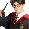 Harry Potter Perücke -Faschingskostüm Verkäufe harry potter perucke